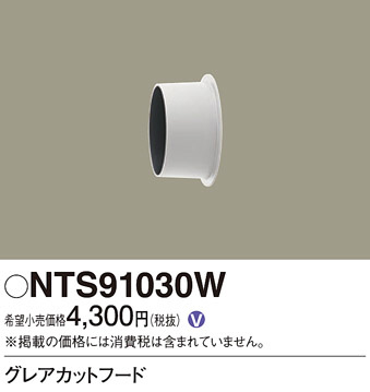 NTS91030W