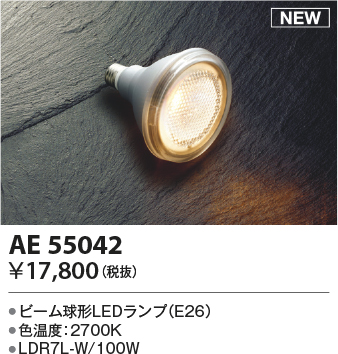 AE55042