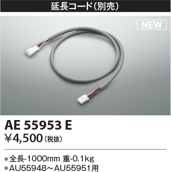 AE55953E