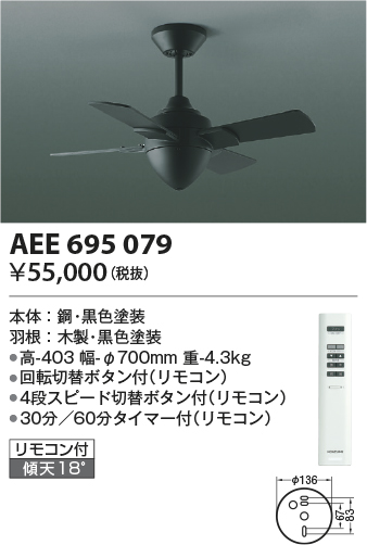 AEE695079