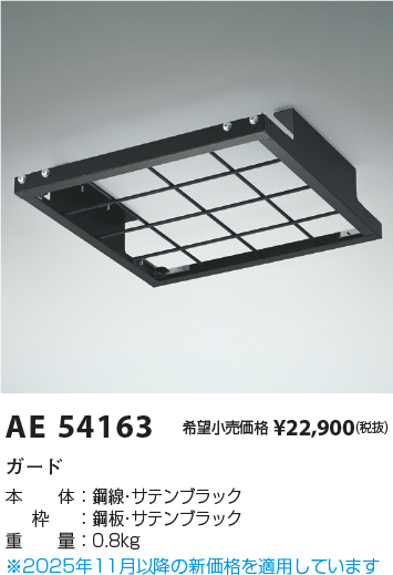 AE54163
