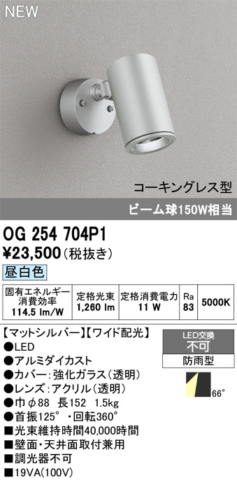 OG254704P1