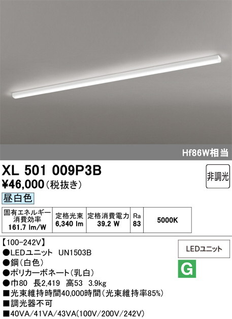 XL501009P3B